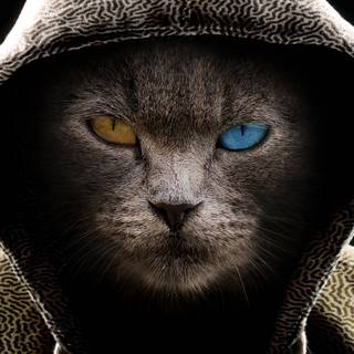 Scary mobile wallpaper