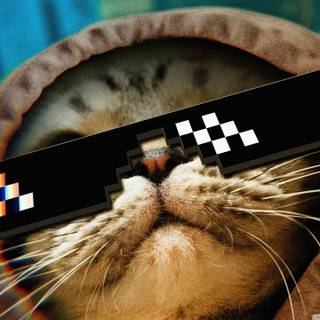 Thug Life 4k wallpaper