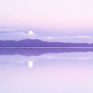 Calming phone wallpaper