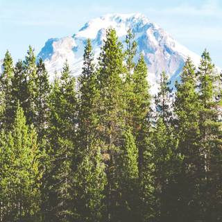 Oregon iPhone wallpaper