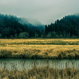 Oregon iPhone wallpaper