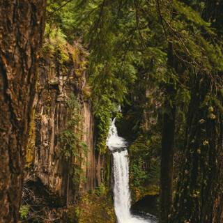 Oregon iPhone wallpaper