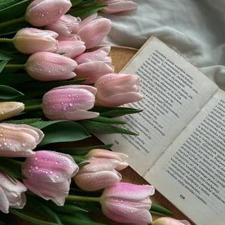 Coquette iPhone wallpaper