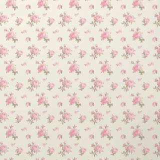 Coquette iPhone wallpaper