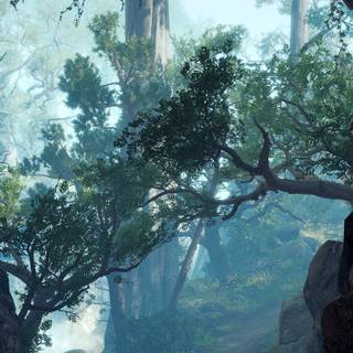 Baldur's Gate 3 phone wallpaper