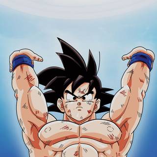 Dragon Ball Z iPhone 6 wallpaper