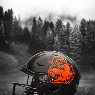 Oregon iPhone wallpaper