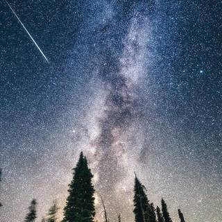 Oregon iPhone wallpaper