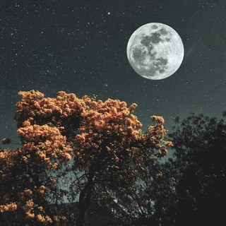 iPhone 15 aesthetic wallpaper