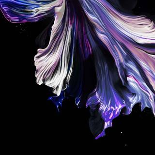 iPhone 15 oled wallpaper