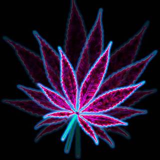 Neon weed phone wallpaper