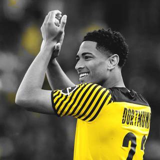 Bellingham iPhone wallpaper