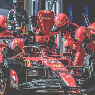 Carlos Sainz iPhone wallpaper