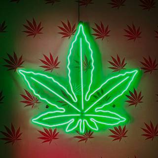 Neon weed phone wallpaper