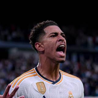 Bellingham iPhone wallpaper