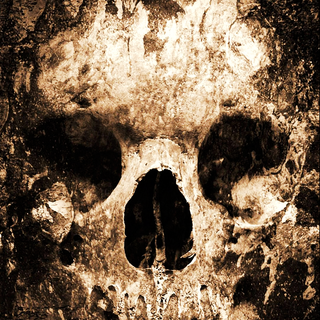 Phone zombie wallpaper