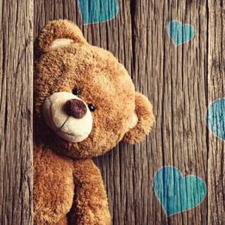 Teddy phone wallpaper