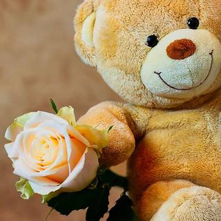 Teddy phone wallpaper