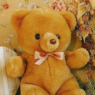 Teddy phone wallpaper