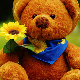 Teddy phone wallpaper