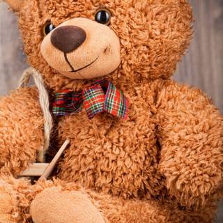 Teddy phone wallpaper