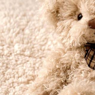 Teddy phone wallpaper