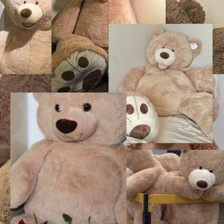 Teddy phone wallpaper