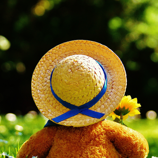 Teddy phone wallpaper