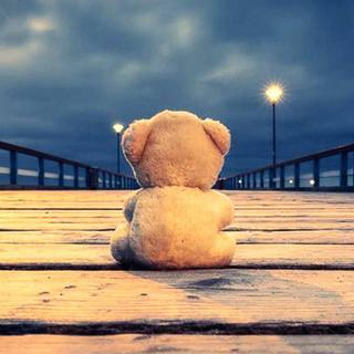 Teddy phone wallpaper