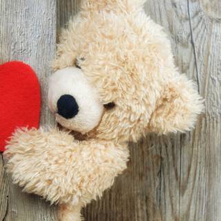 Teddy phone wallpaper