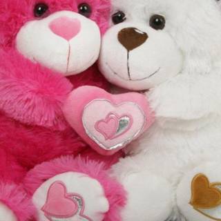 Teddy phone wallpaper