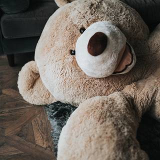 Teddy phone wallpaper