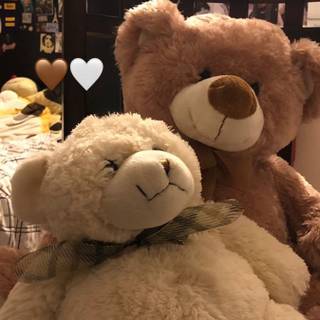 Teddy phone wallpaper