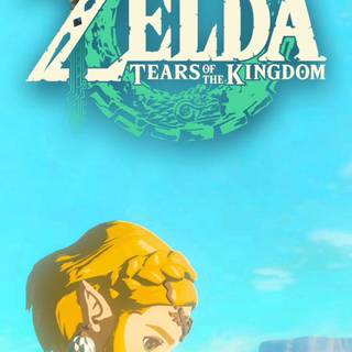 Zelda Tears of The Kingdom phone wallpaper