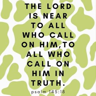 Cow print Bible verses wallpaper