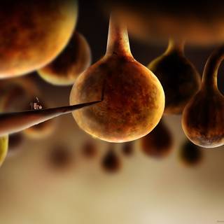 Botanicula wallpaper