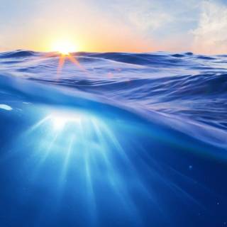 Half underwater wallpaper