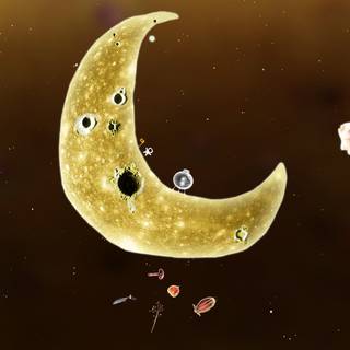 Botanicula wallpaper