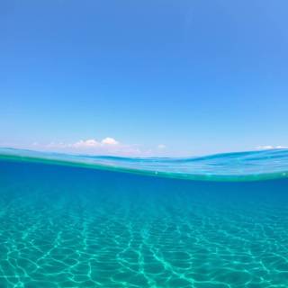 Half underwater wallpaper