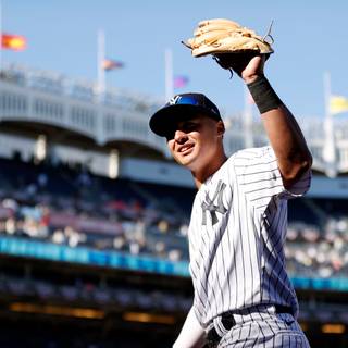 Anthony Volpe wallpaper