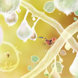 Botanicula wallpaper