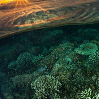 Half underwater wallpaper