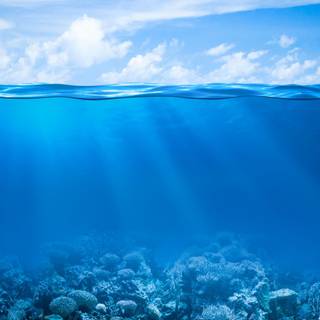 Half underwater wallpaper