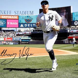 Anthony Volpe wallpaper