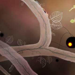 Botanicula wallpaper