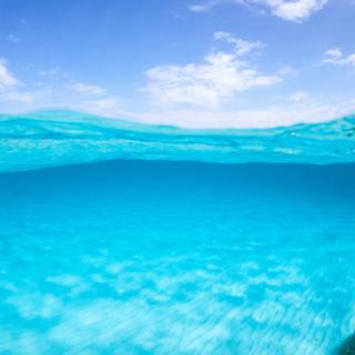 Half underwater wallpaper