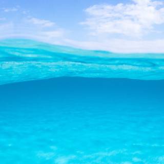Half underwater wallpaper