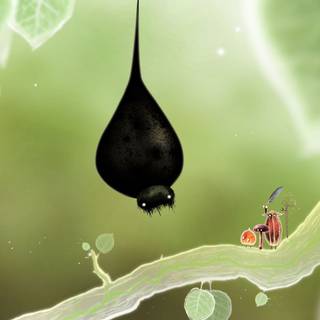 Botanicula wallpaper