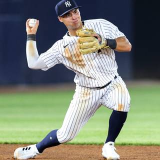 Anthony Volpe wallpaper