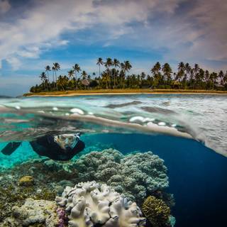 Half underwater wallpaper